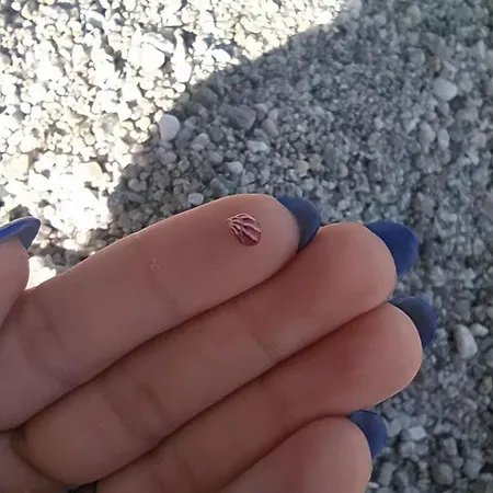 Casa La Pavoncella Nyaraló Orosei