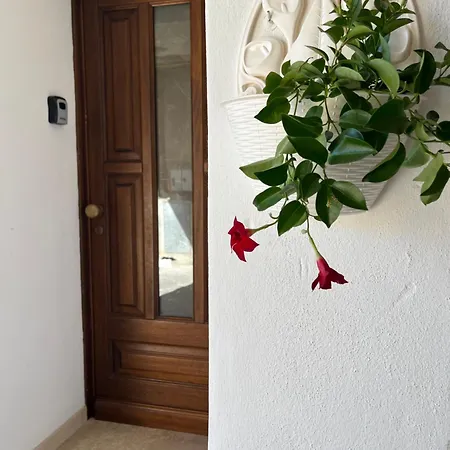 Casa La Pavoncella * 오로세