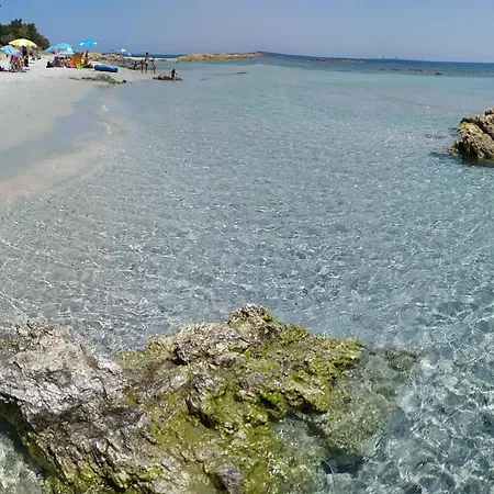 Casa Vacanza La Pavoncella *