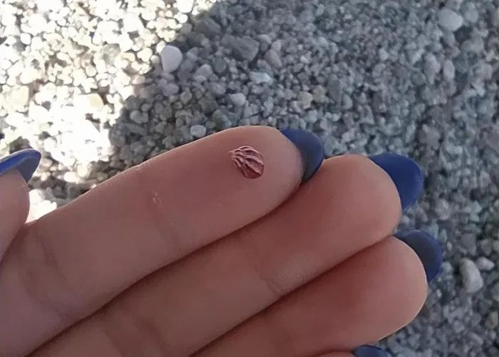 Casa La Pavoncella 度假居 奥罗塞伊