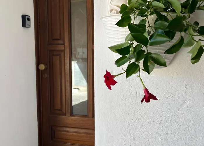 Casa La Pavoncella * 奥罗塞伊